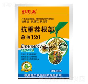 ���ز��������120-�n��̫-�����Ƽ�