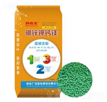 ���\��}�V-�n��̫-�����Ƽ�