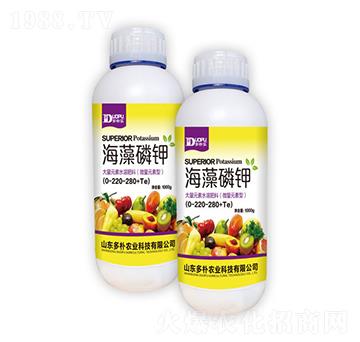 �������-�����Ƽ�