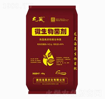 40kg΢�������-��껷ʘI(y��)