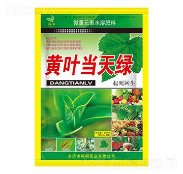 黃葉當(dāng)天綠-暢瞬