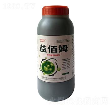 ���ĸ-��������