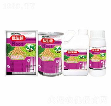 30��������-�������r(n��ng)