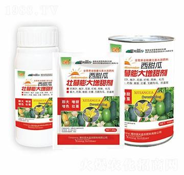 ����ω������������-