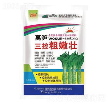 �n�S���ش��ۉ�-������