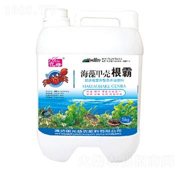 ����ך�����-�������r(n��ng)