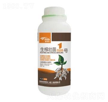 生根壯苗1號(hào)-金吉達(dá)