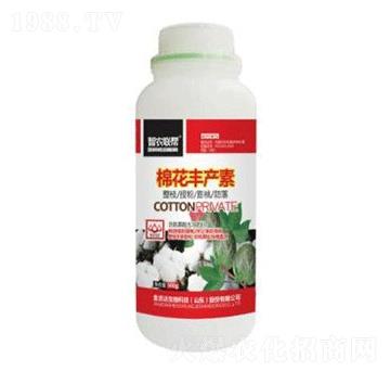 �޻��S�a��-���_