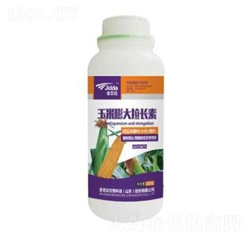 ����������L��-���_(d��)