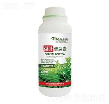 ���~��ѿ��-���_