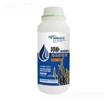 ���������-���_