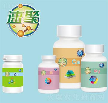 �پ�-��������