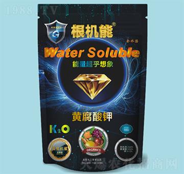 �S�����-���C��-��������