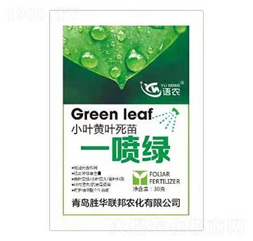 小葉黃葉死苗一噴綠-語農-勝華聯(lián)邦