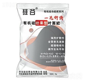 �ЙC(j��)��ѹ����~���-��