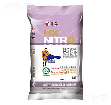 �ͺϷ���17-13-10-�A�ηʘI(y��)