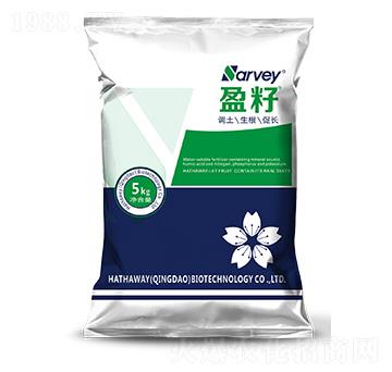 ӯ��-�����f