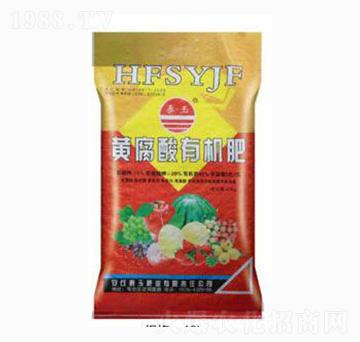 �S�����ЙC(j��)��-̩��ʘI(y��)