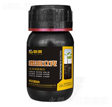 ��ϼ�(x��)������-��������-�չ�-�������r(n��ng)