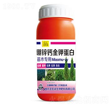 ���\�}��⛵���-ʥ�ϝ�(r��n)