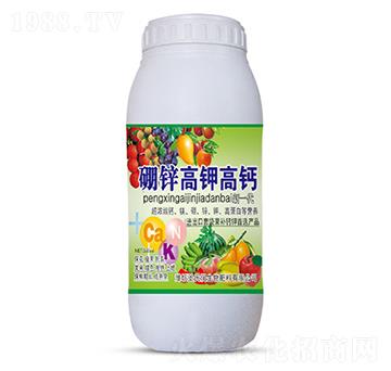 500ml���\��⛸��}