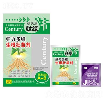 ��(qi��ng)����S�������焩����n�bA+B��-ʥ�ϝ�(r��n)