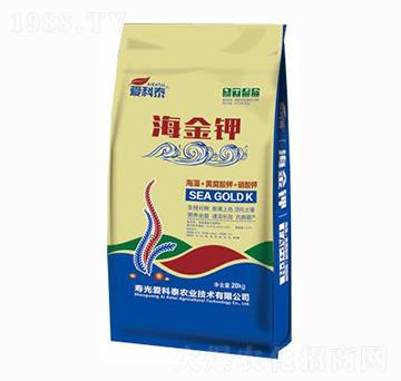 �����-��(��i)��̩