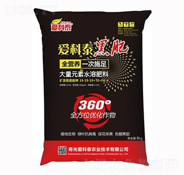 �ڷ�19-19-19+TE-FA-K-��(��i)��̩