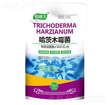 ����ľù��-��ï�r(n��ng)�I(y��)