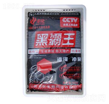 �ڰ����ЙC(j��)���-�S��