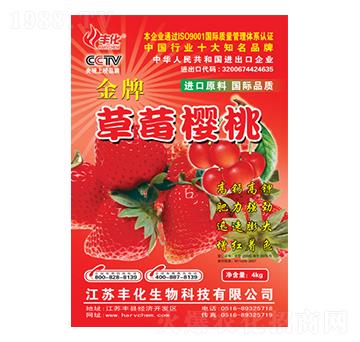 ��ݮ���Ҍ��÷�-�S��