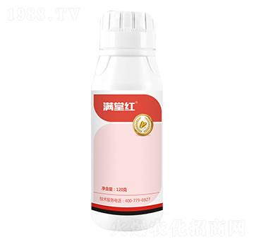 12%���ѡ��������x-