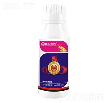 12%���ѡ��������x-