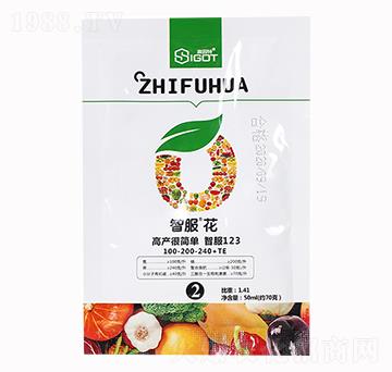 �Ƿ���100-200-