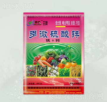 ��΢�����\�~���-���@����