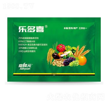 �C�Ϸ������]�M��-����ϲ-�ξGԪ