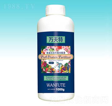 1000g�~������Ȼø