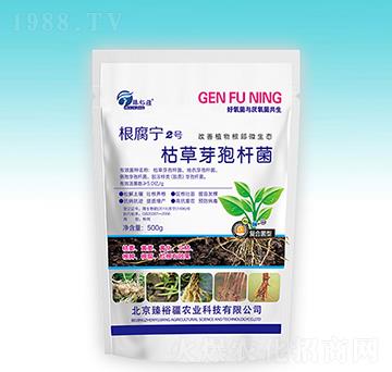 �ݲ�ѿ�ߗU��-������2