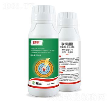 43%������-���S�r�I(y��)