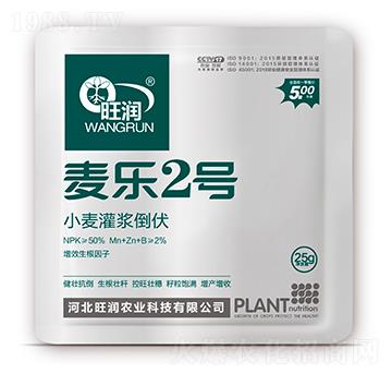 С�����{����-����(l��)2̖(h��o)