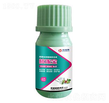 �����LЧֲ�����Һ-��