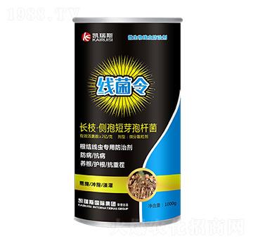 �L֦����(c��)�߶�ѿ�ߗU��-