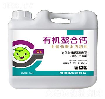 �ЙC�����}-�P��˹