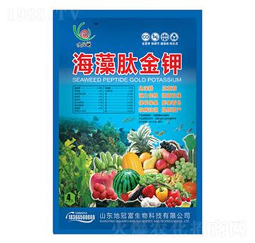 �����Ľ��-�عڸ�