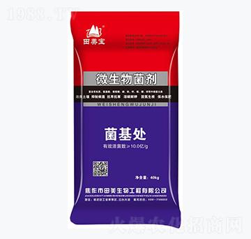 40kg΢�������-����̎-��������