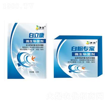 ΢�������-������-�������