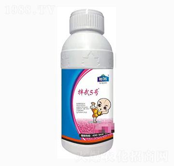 15%���x����������-����5̖-⠰��r�I(y��)