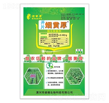 ���݌���΢�������-�_Ƭ���S��-ʢ�Z����