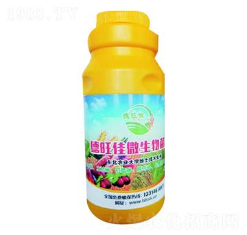 ������΢�������-�ɟj�ʘI(y��)