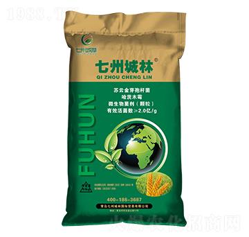 ��ʮ��С���������طN��-���ݳ���